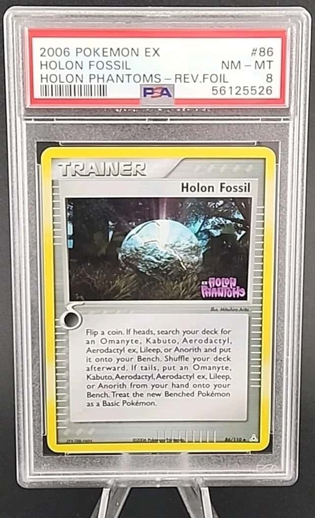 Holon Fossil