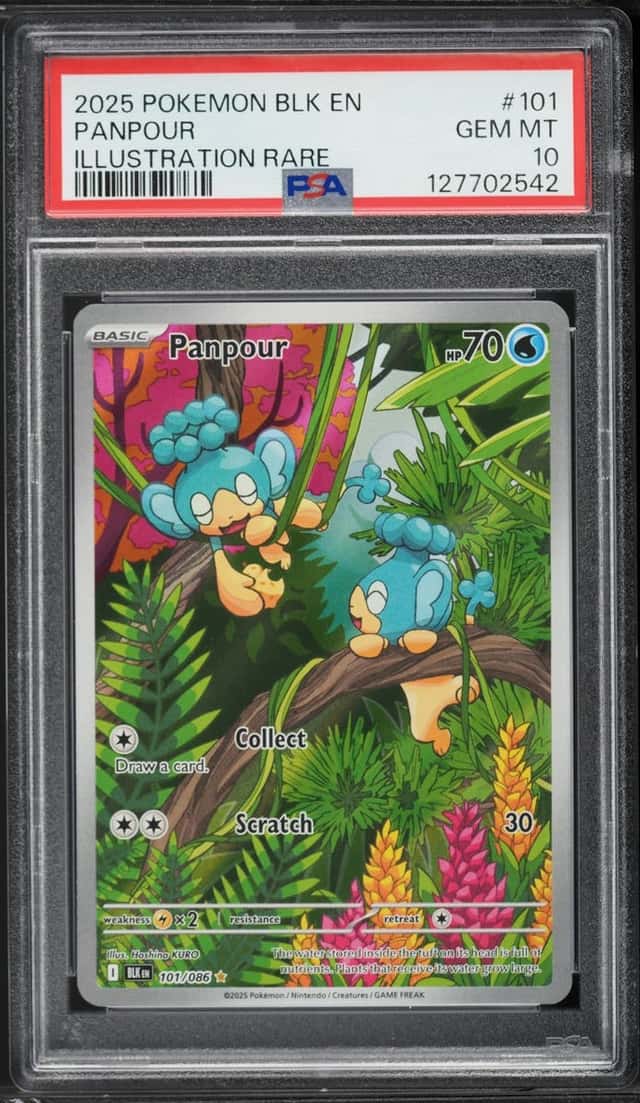 Panpour