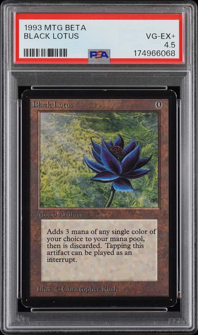 Black Lotus