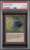 Black Lotus