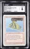 Volcanic Island