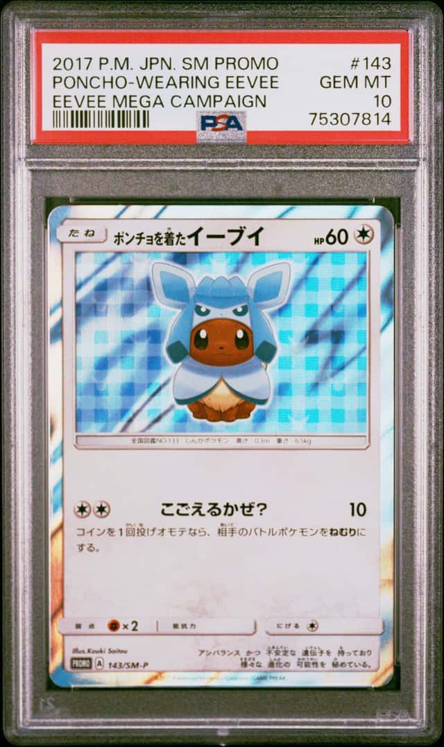 Poncho-Wearing Eevee