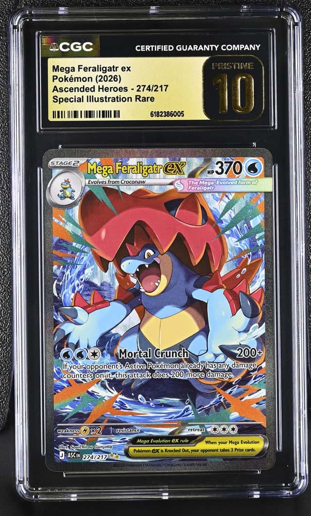 MEGA FERALIGATR ex