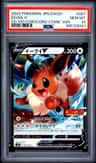 Eevee V