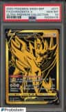 Zamazenta V