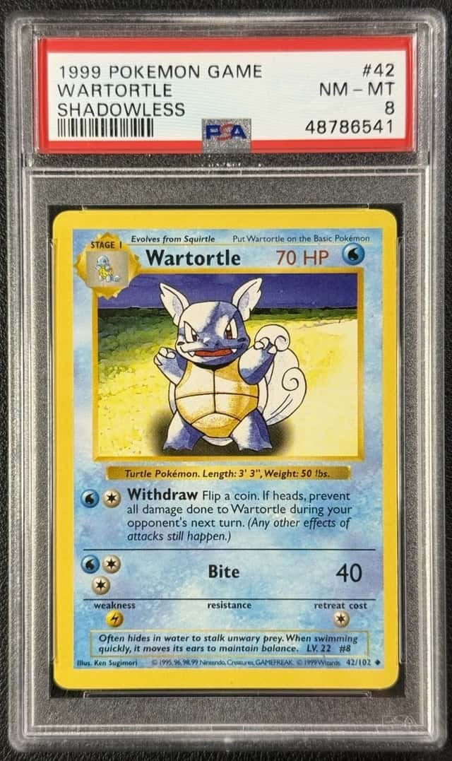Wartortle