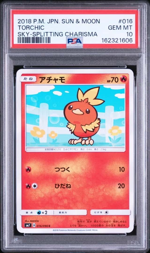 Torchic