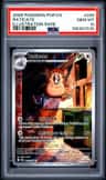 Raticate