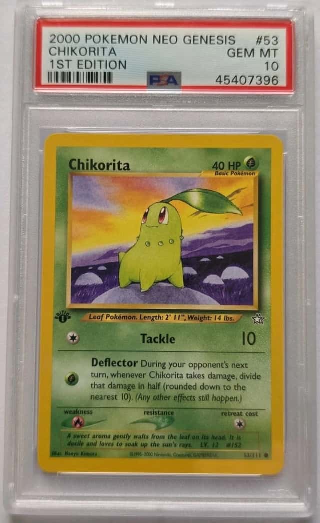 Chikorita