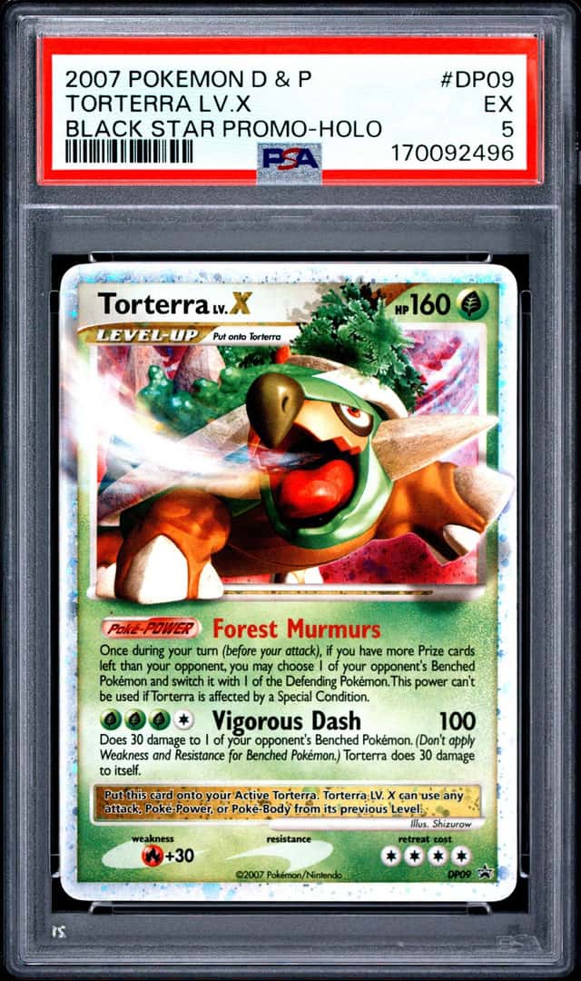 Torterra Lv X