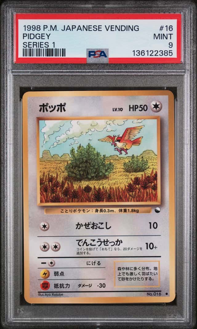 Pidgey