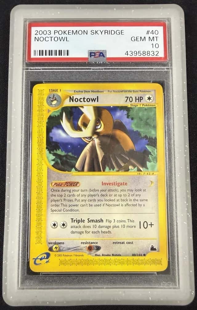 Noctowl