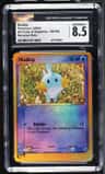 Mudkip