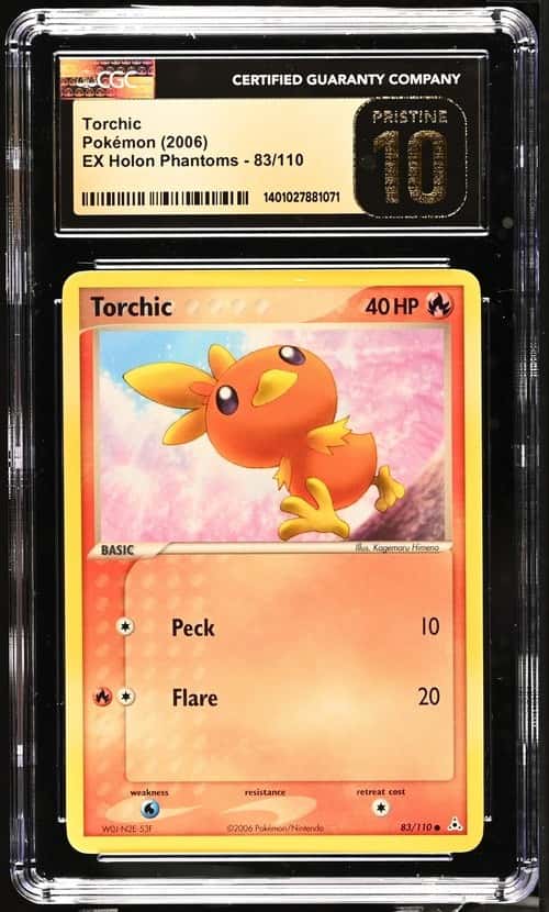 Torchic