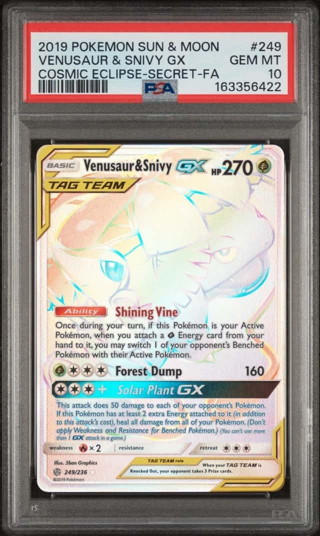 Venusaur & Snivy GX