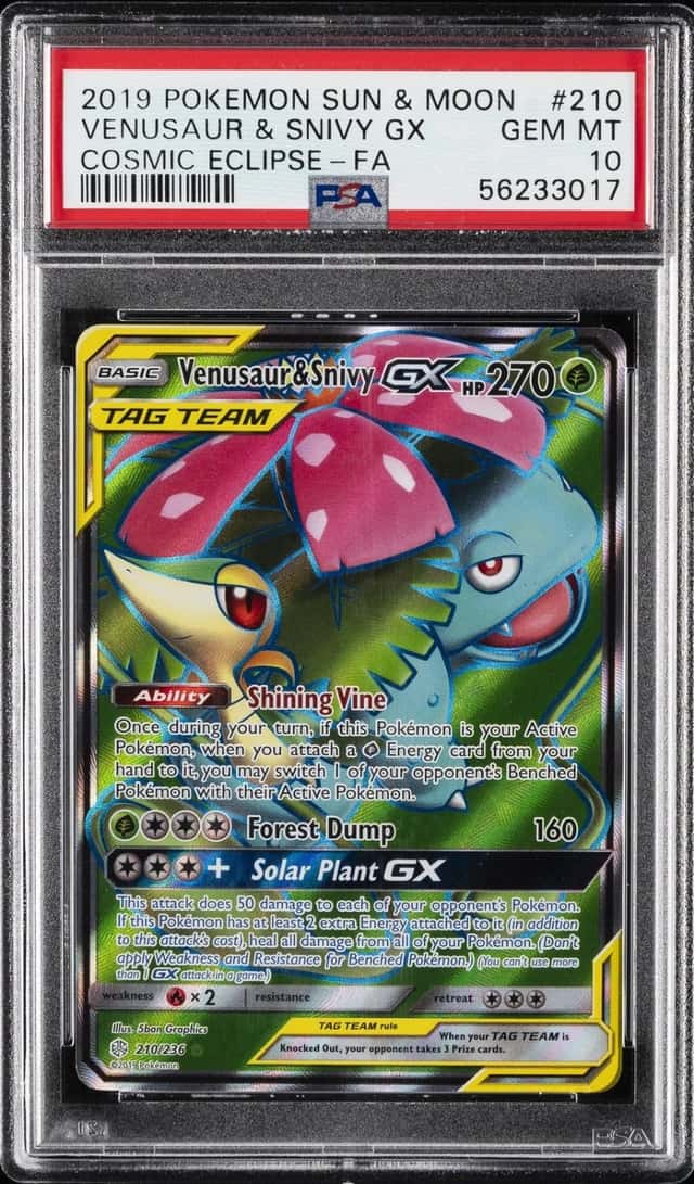 Venusaur & Snivy GX