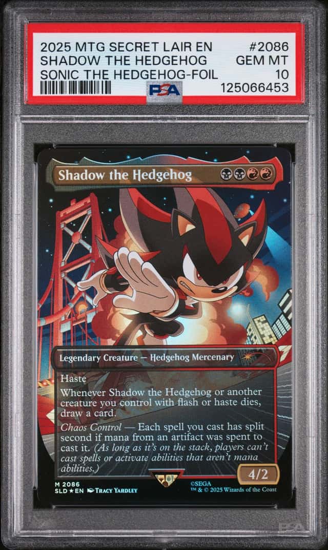 Shadow The Hedgehog