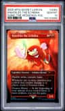 Knuckles The Echidna