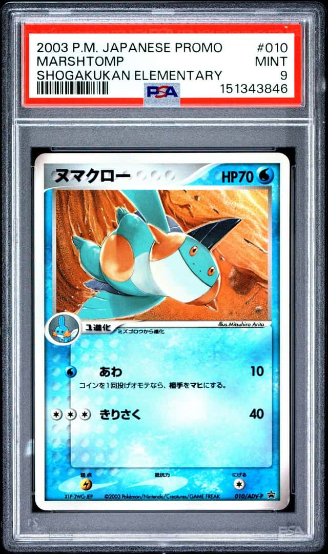Marshtomp