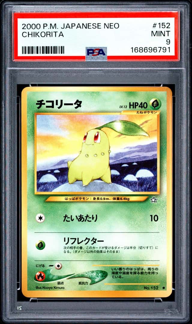 Chikorita