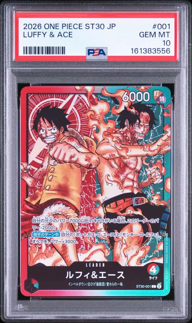 Luffy & Ace