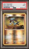 Riolu