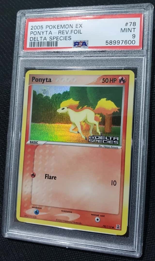 Ponyta