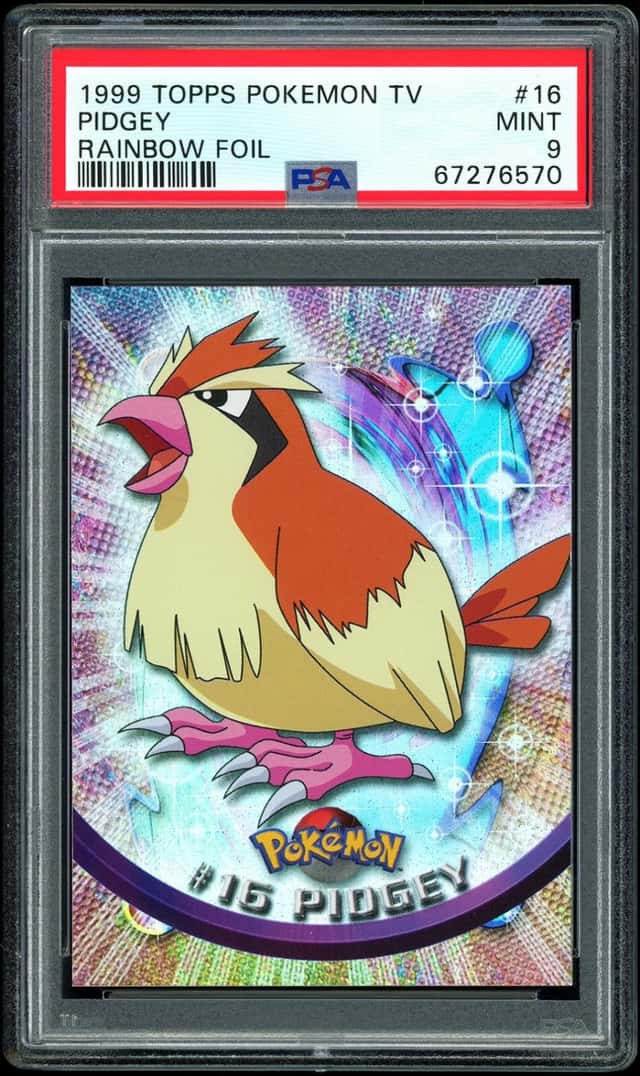 Pidgey