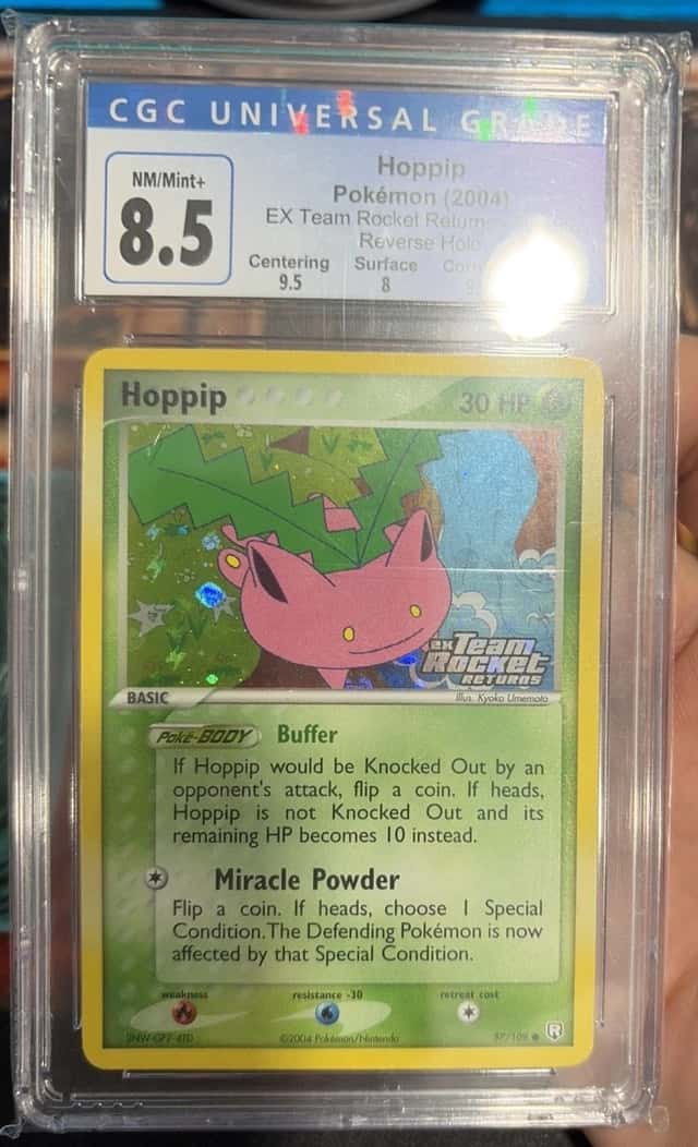 Hoppip