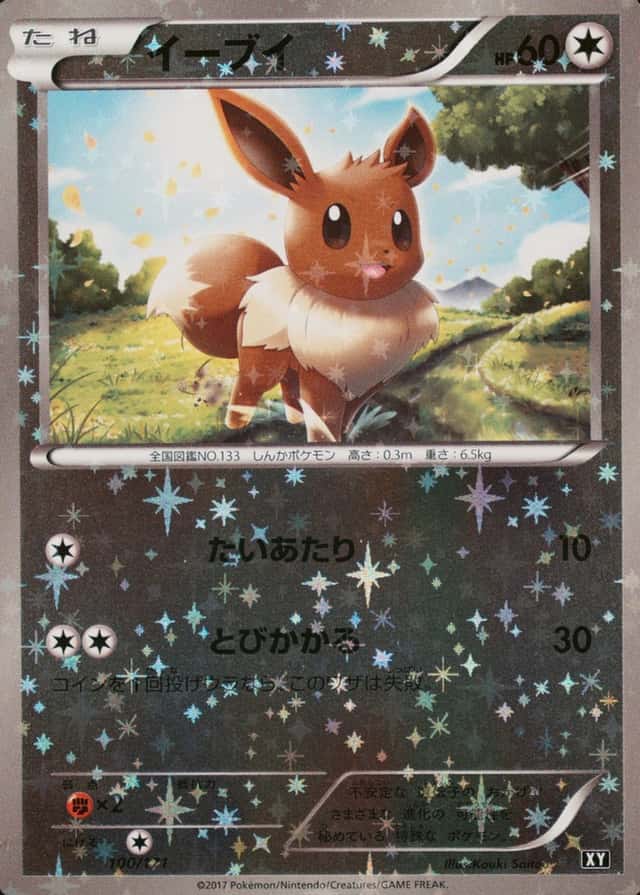 Reverse Holo