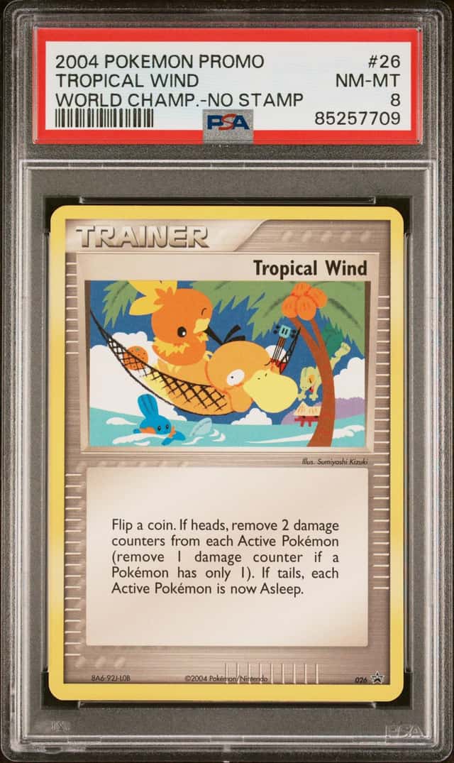 Tropical Wind