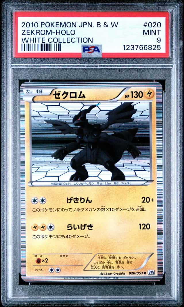 Zekrom