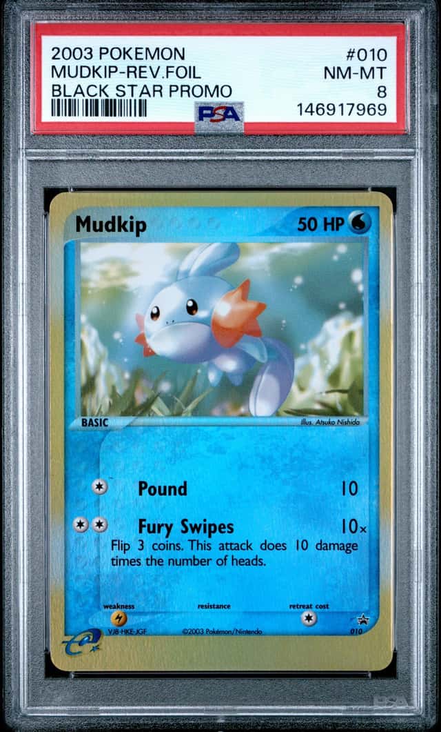 Mudkip