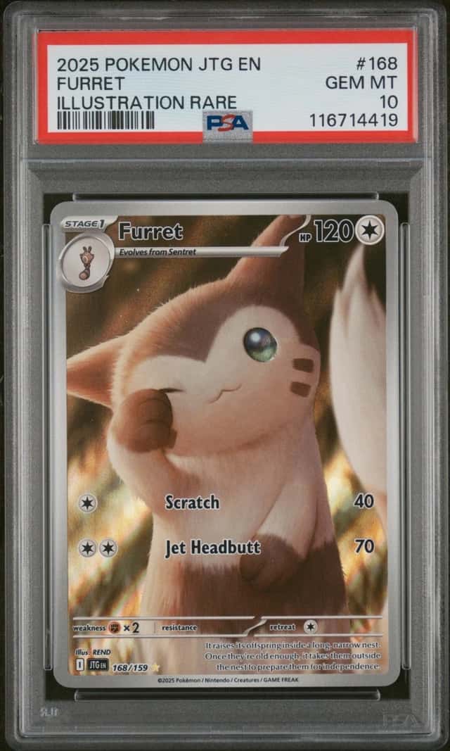 Furret