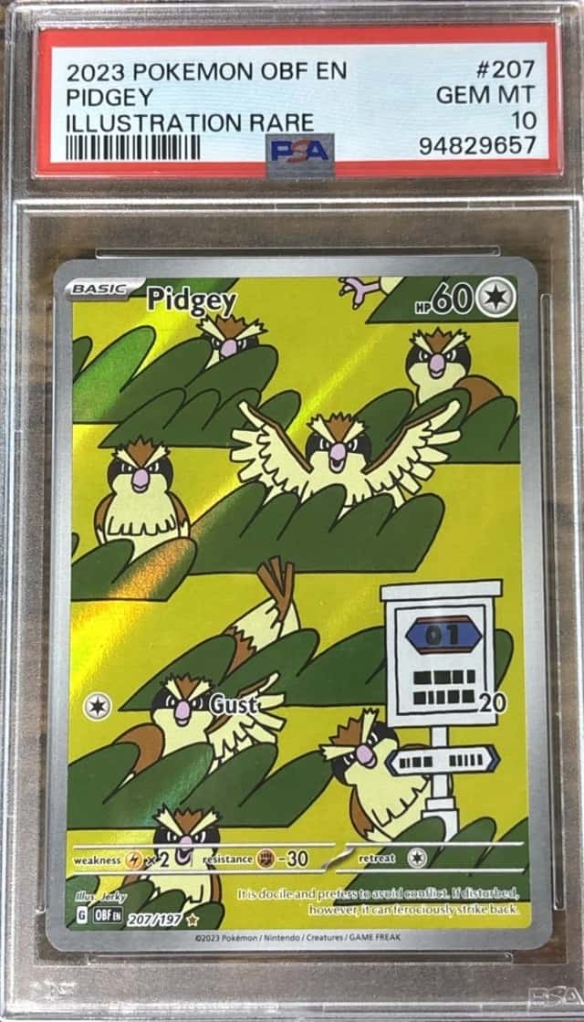 Pidgey