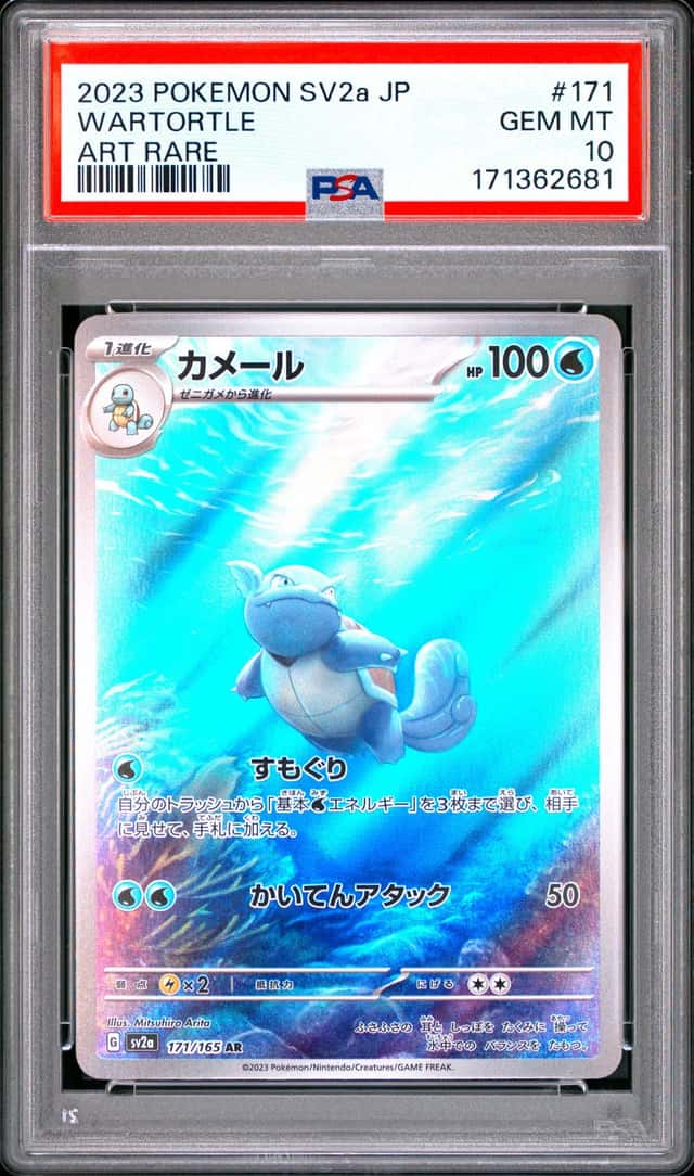 Wartortle