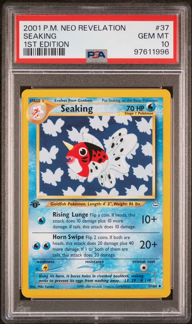 Seaking
