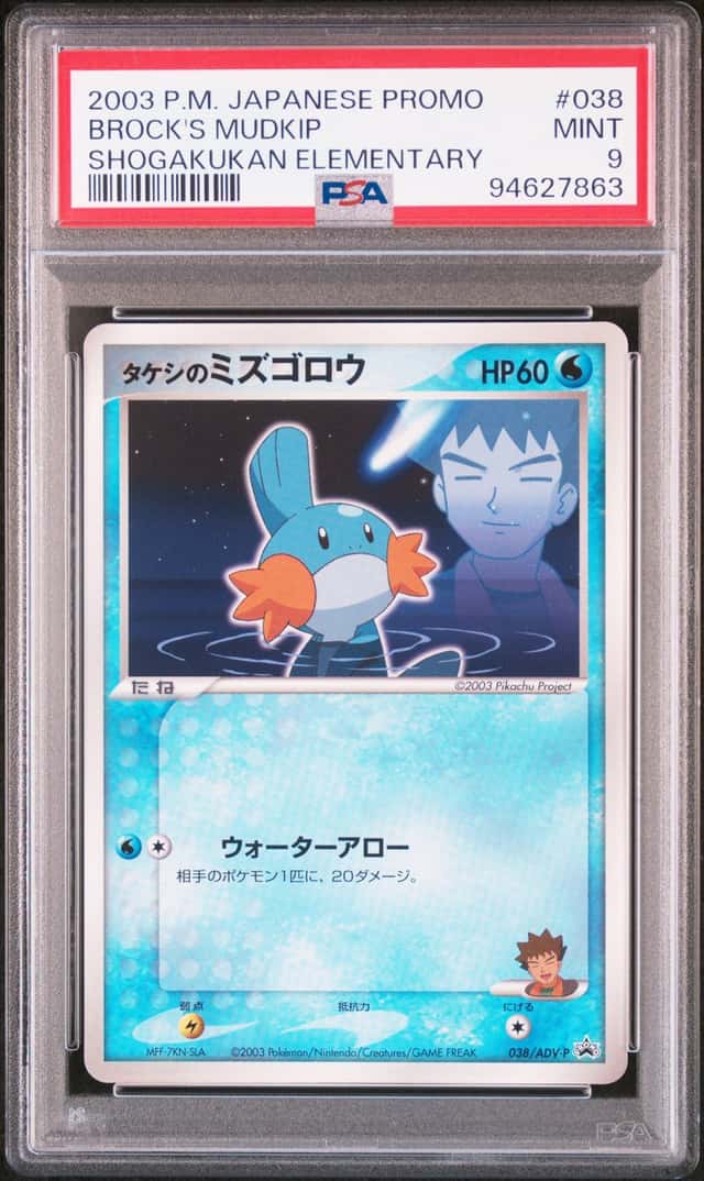 Brock's Mudkip