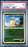 Turtwig