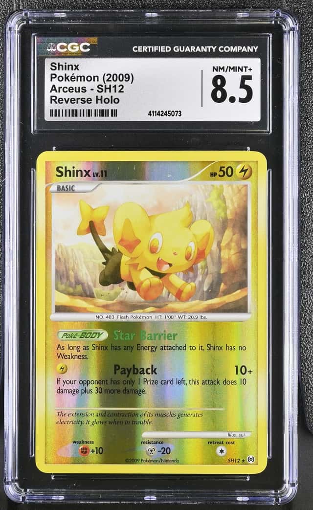 Shinx