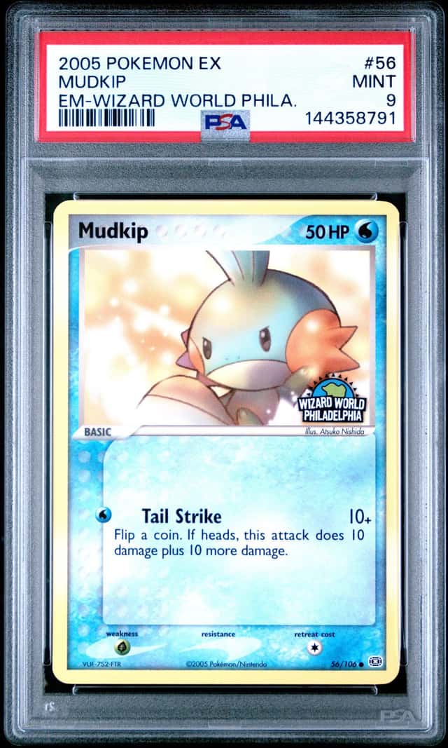 Mudkip