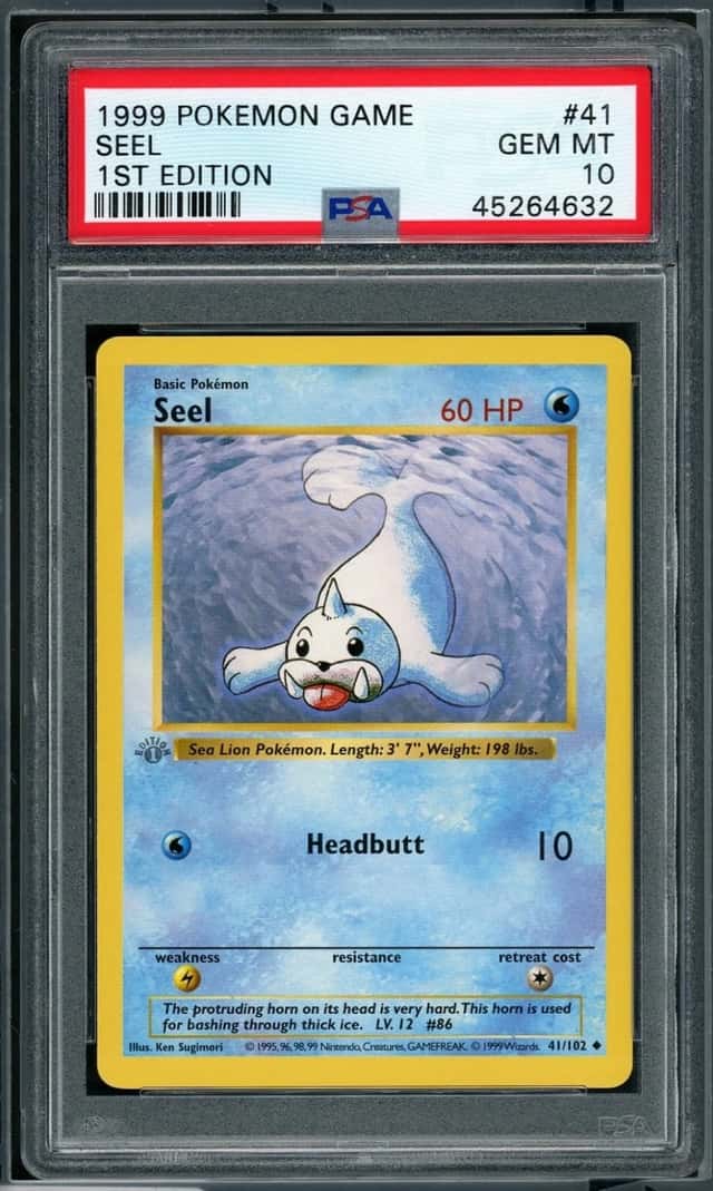 Seel