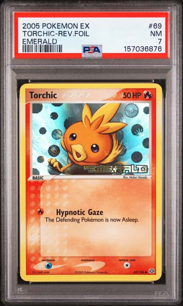 Torchic