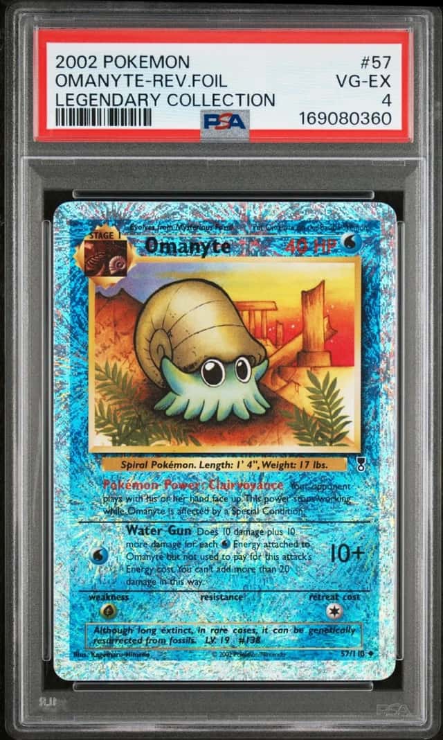 Omanyte