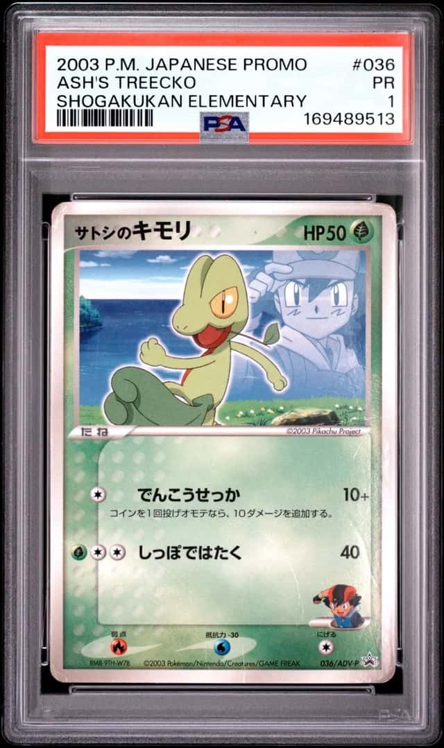 Ash's Treecko