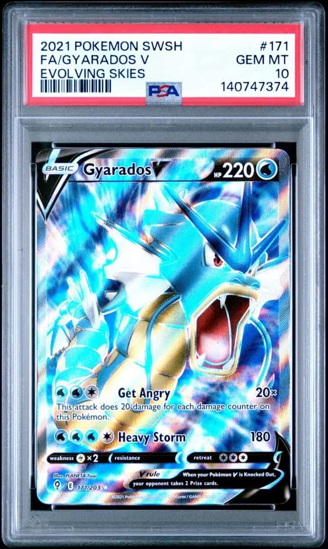 Gyarados V