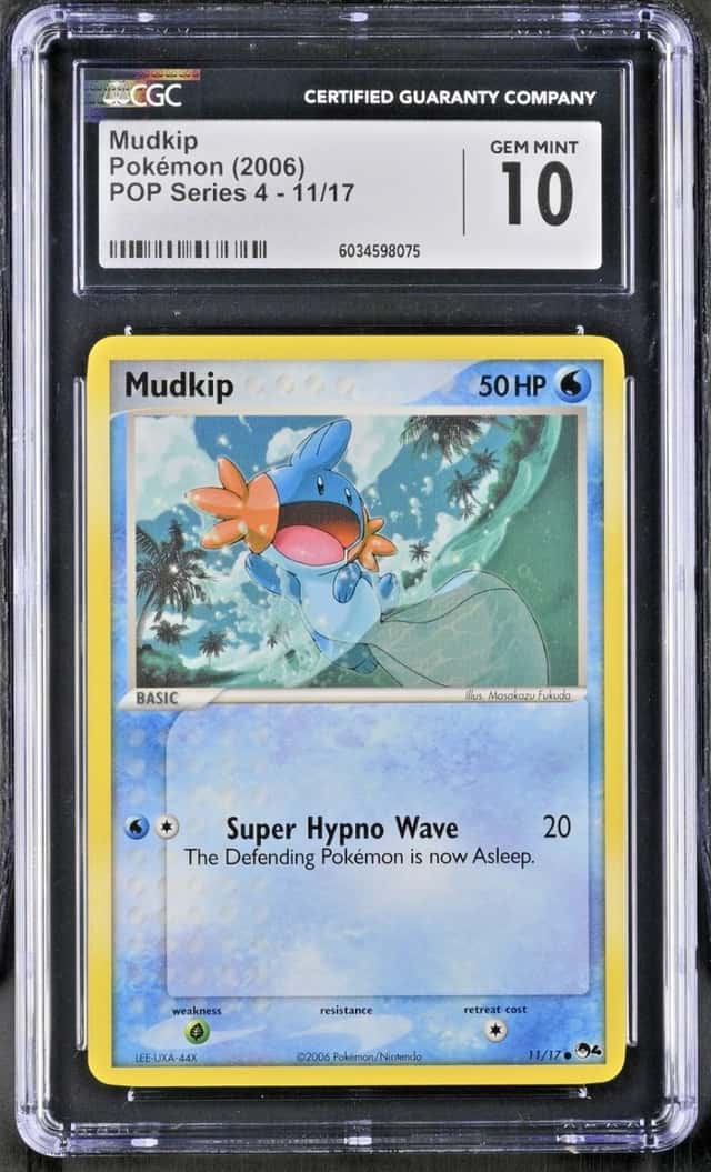 Mudkip