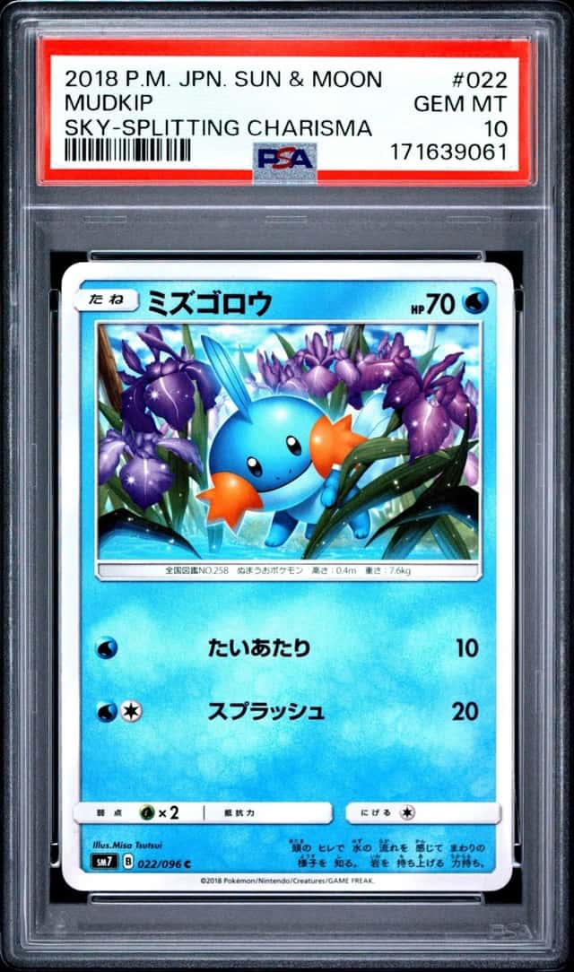 Mudkip