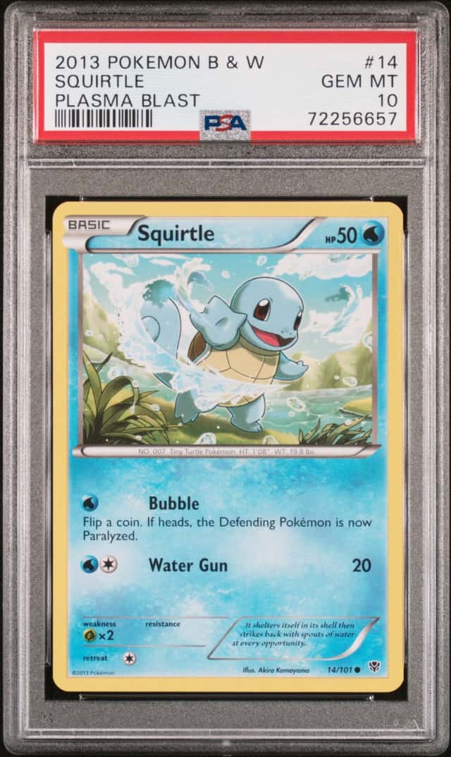 Squirtle