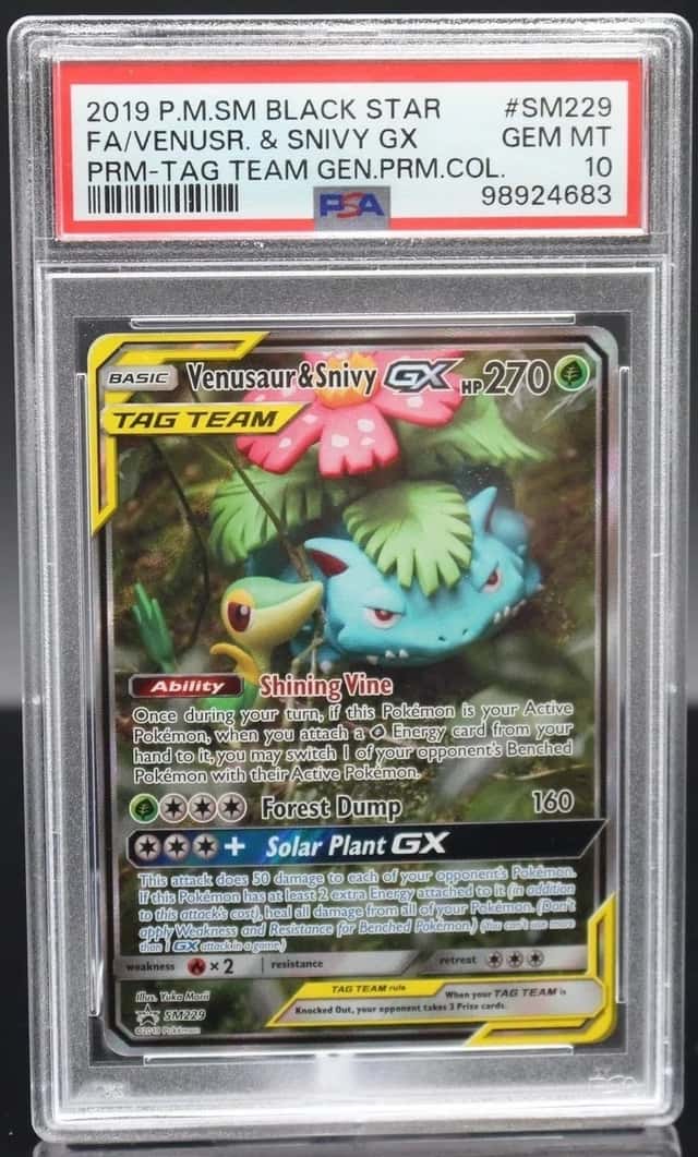 Venusaur & Snivy GX